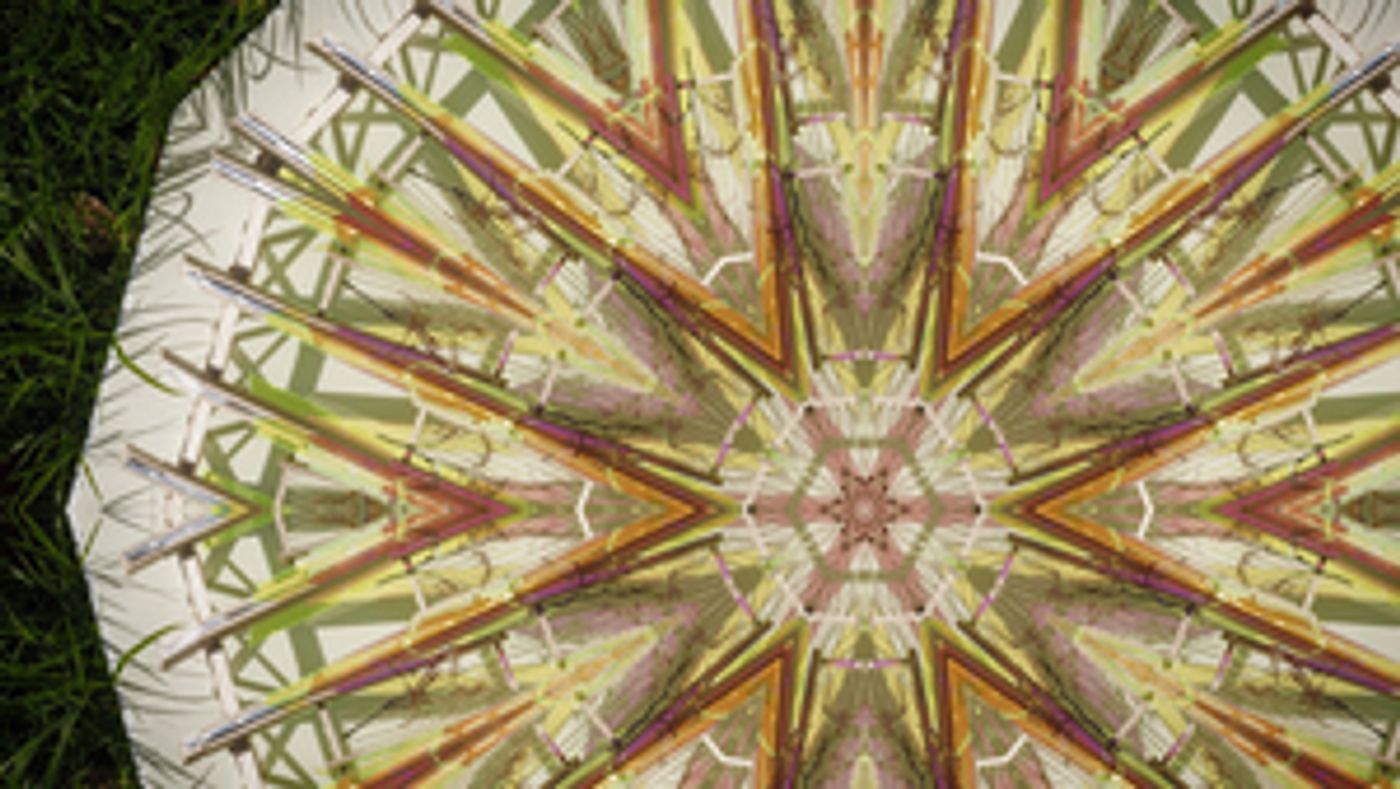 Scottish Ensemble Releases New Film PARDES by Artist Jyll Bradley  Image