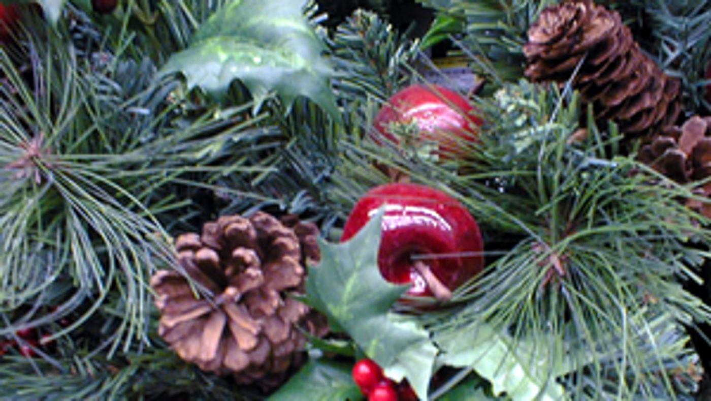 SNACK ATTACK-Tasty Munchables for a Busy Holiday Season  Image