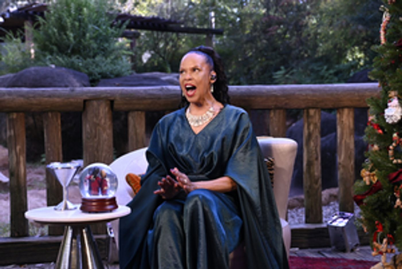 The Alliance's A VERY TERRY CHRISTMAS With Terry Burrell Now Available to Stream  Image