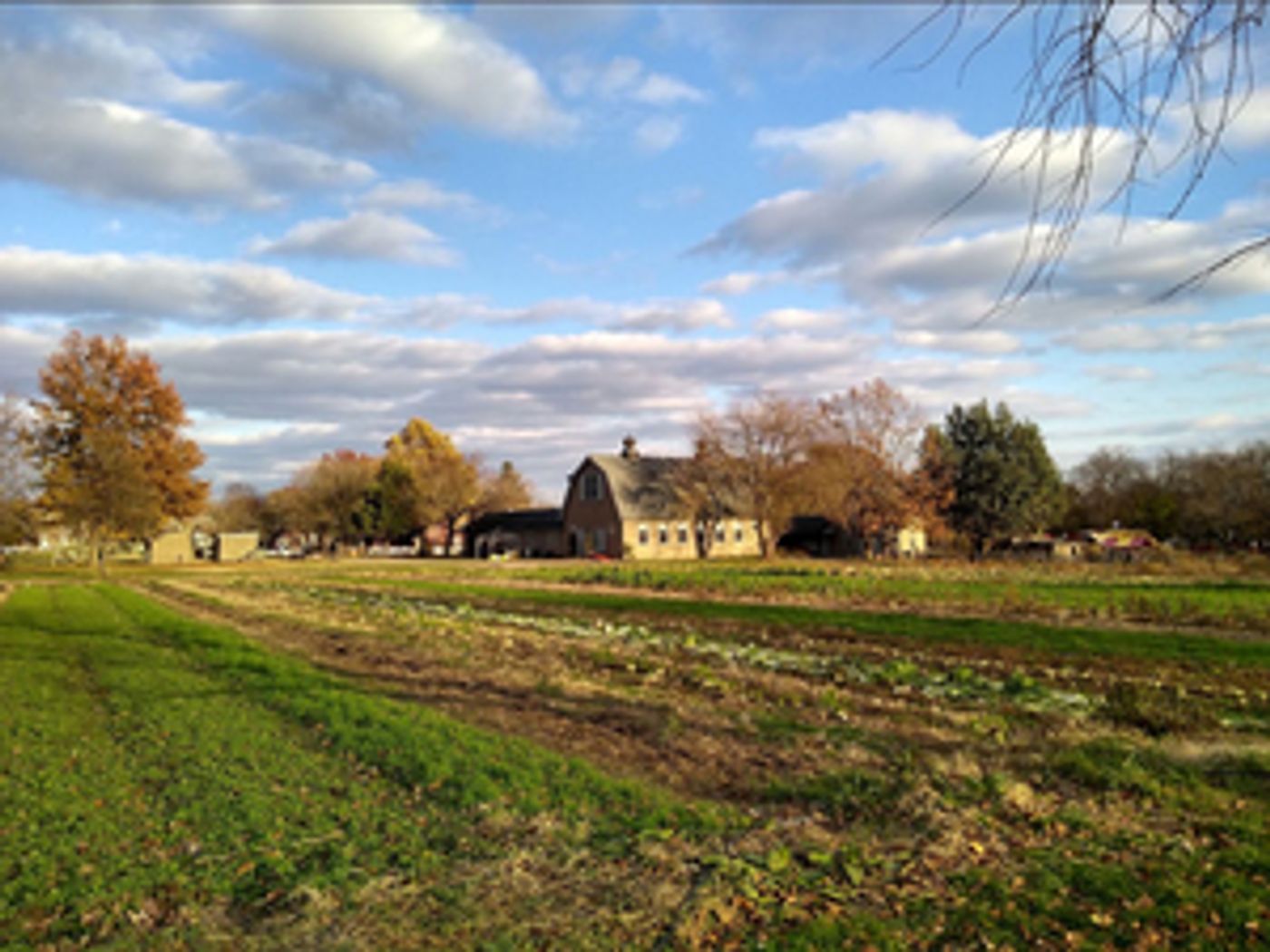 Queens Farm Hosts Outdoor Holiday Reading of O. Henry's THE GIFT OF THE MAGI  Image