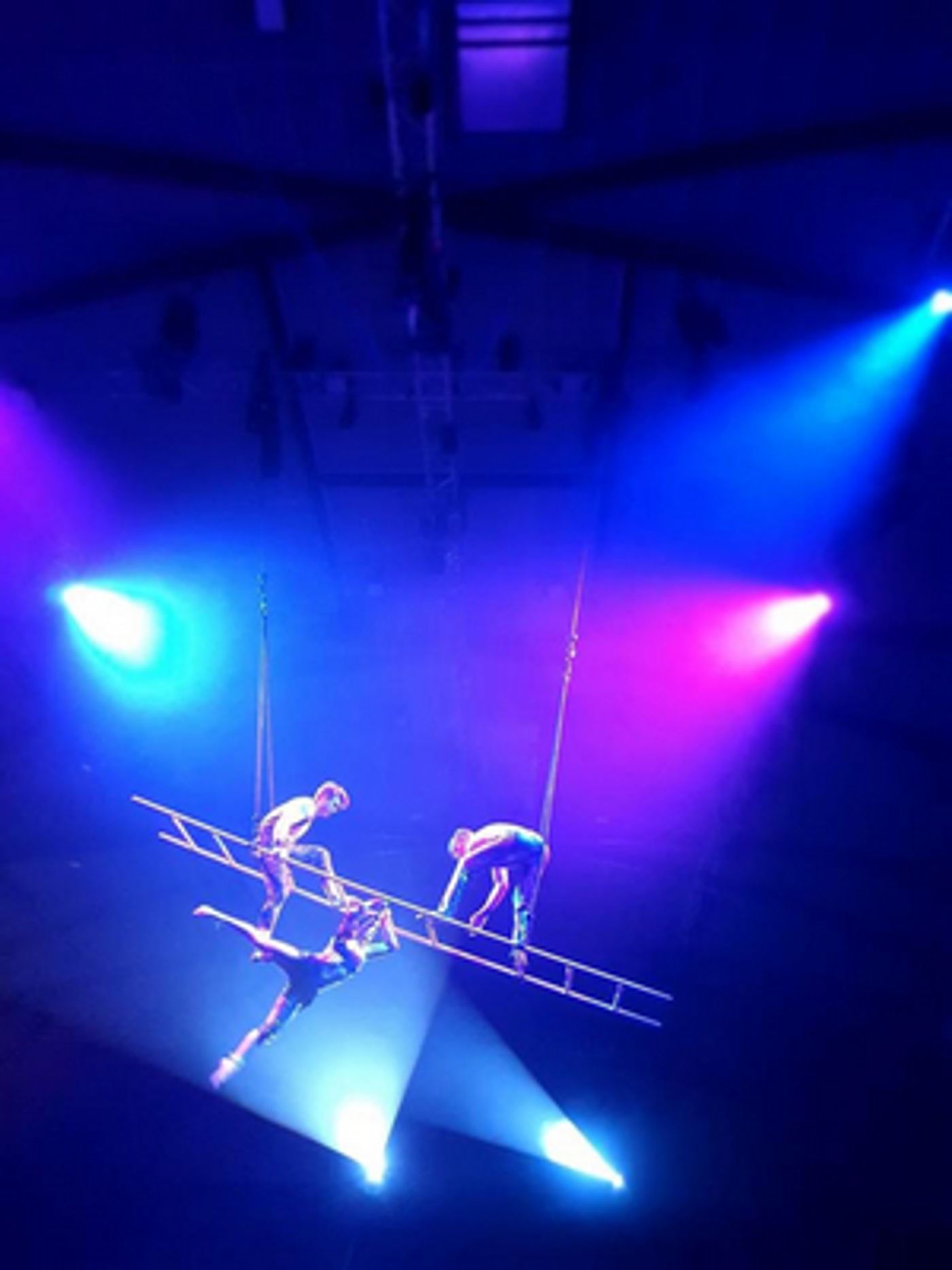 Review: ITHACA at Central Energy Trust Arena, Palmerston North  Image