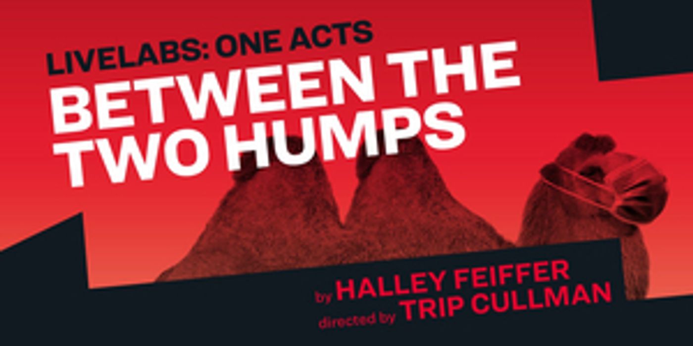 Peppermint, Portia, Noah Robbins, and Kara Young Will Star in MCC Theater's BETWEEN THE TWO HUMPS  Image