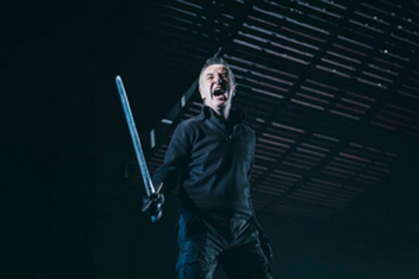 BWW Interviews: Carlos Hipólito habla de su trabajo en MACBETH  Image