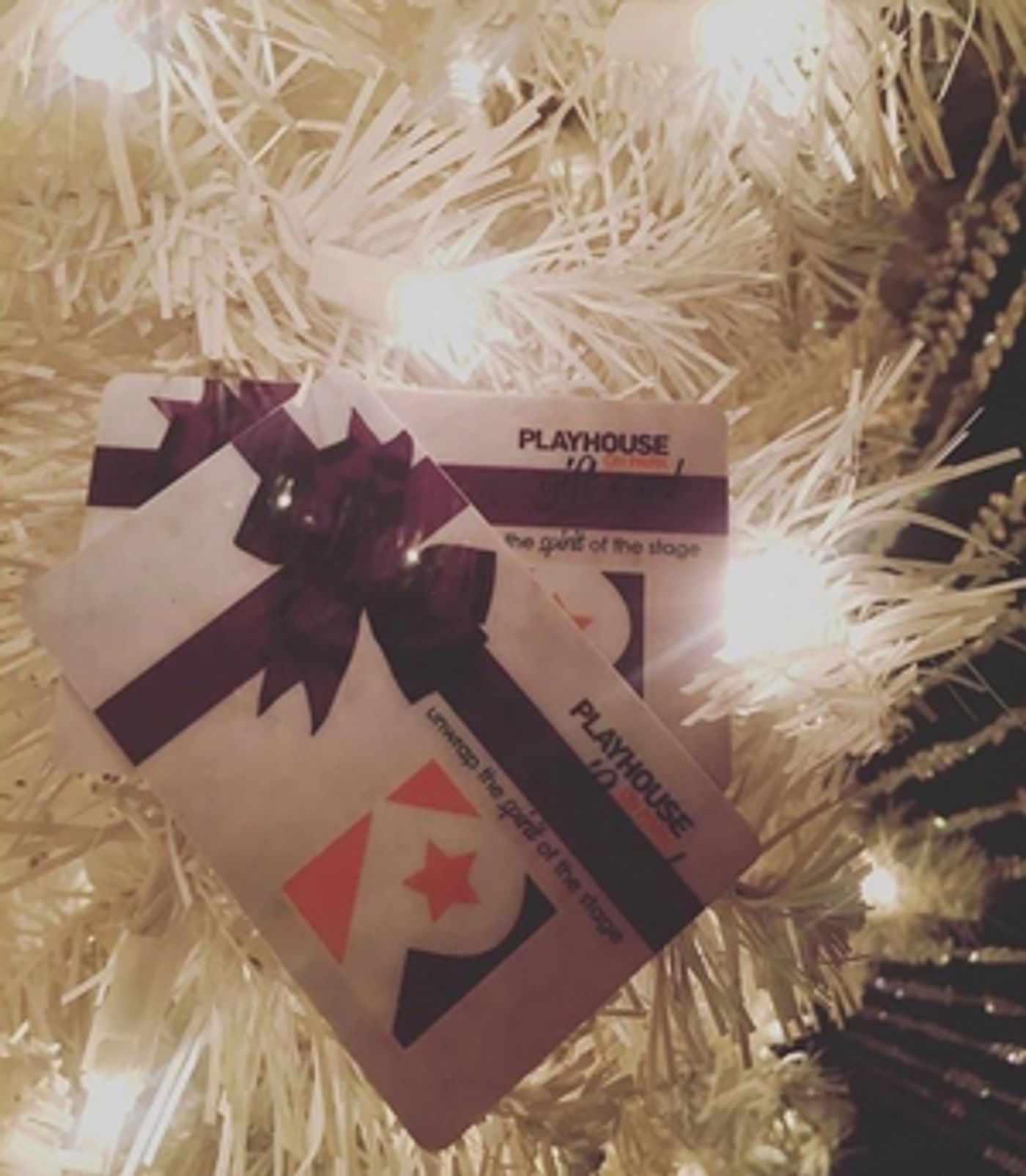 Keep the Arts Alive by Purchasing Holiday Gifts from Playhouse on Park  Image