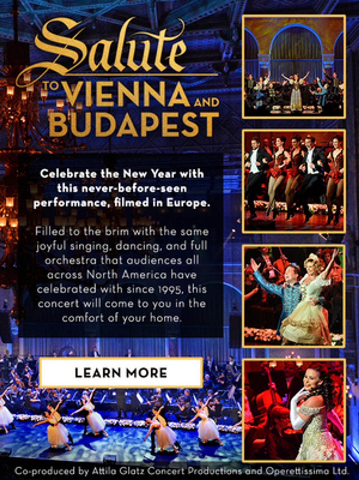 Coral Springs Center for the Arts To Livestream SALUTE TO VIENNA AND BUDAPEST New Year's Concert  Image