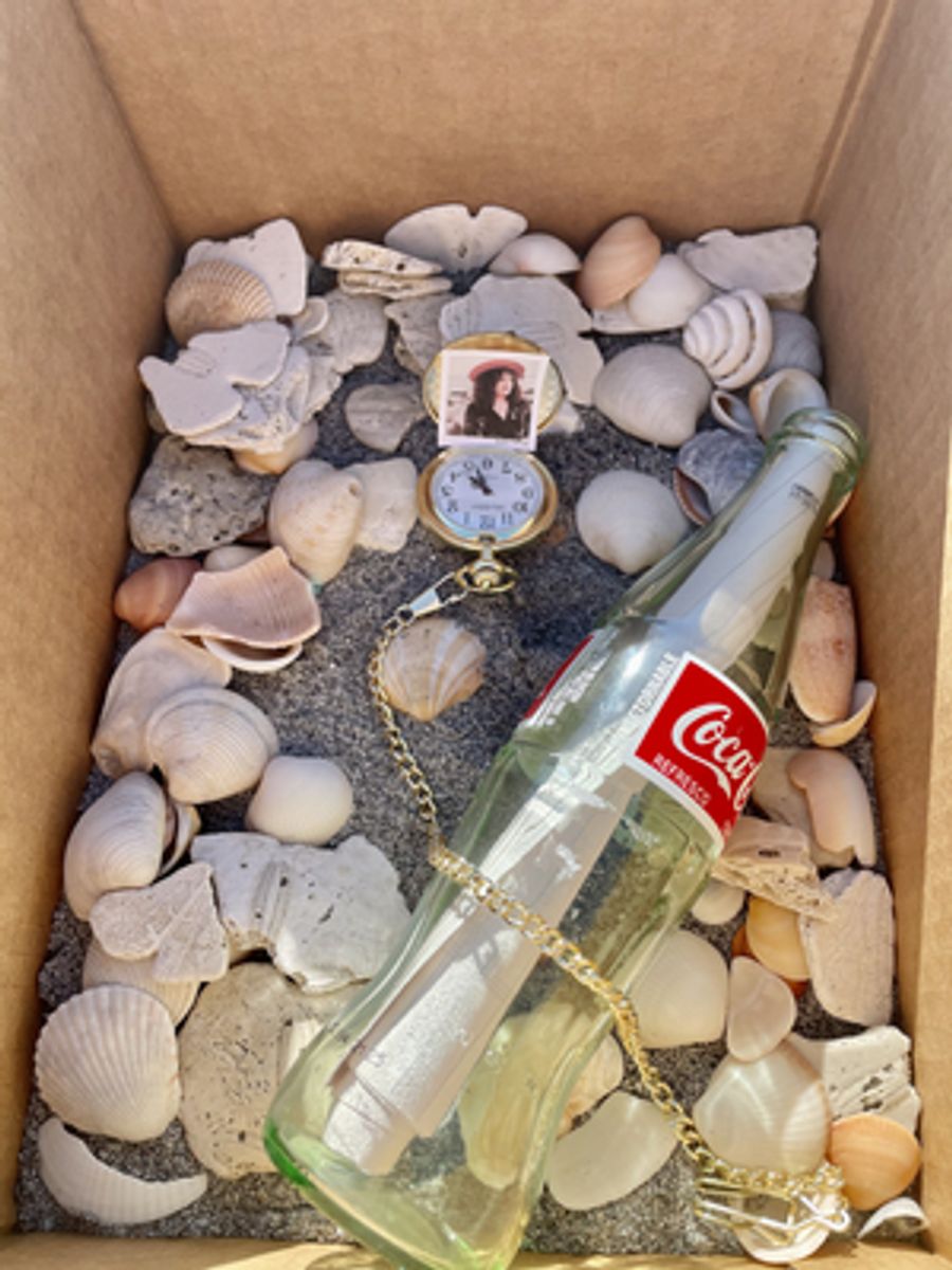 BWW Blog: I Sent Tom Hanks a Letter in a Bottle and Here's What Happened Image