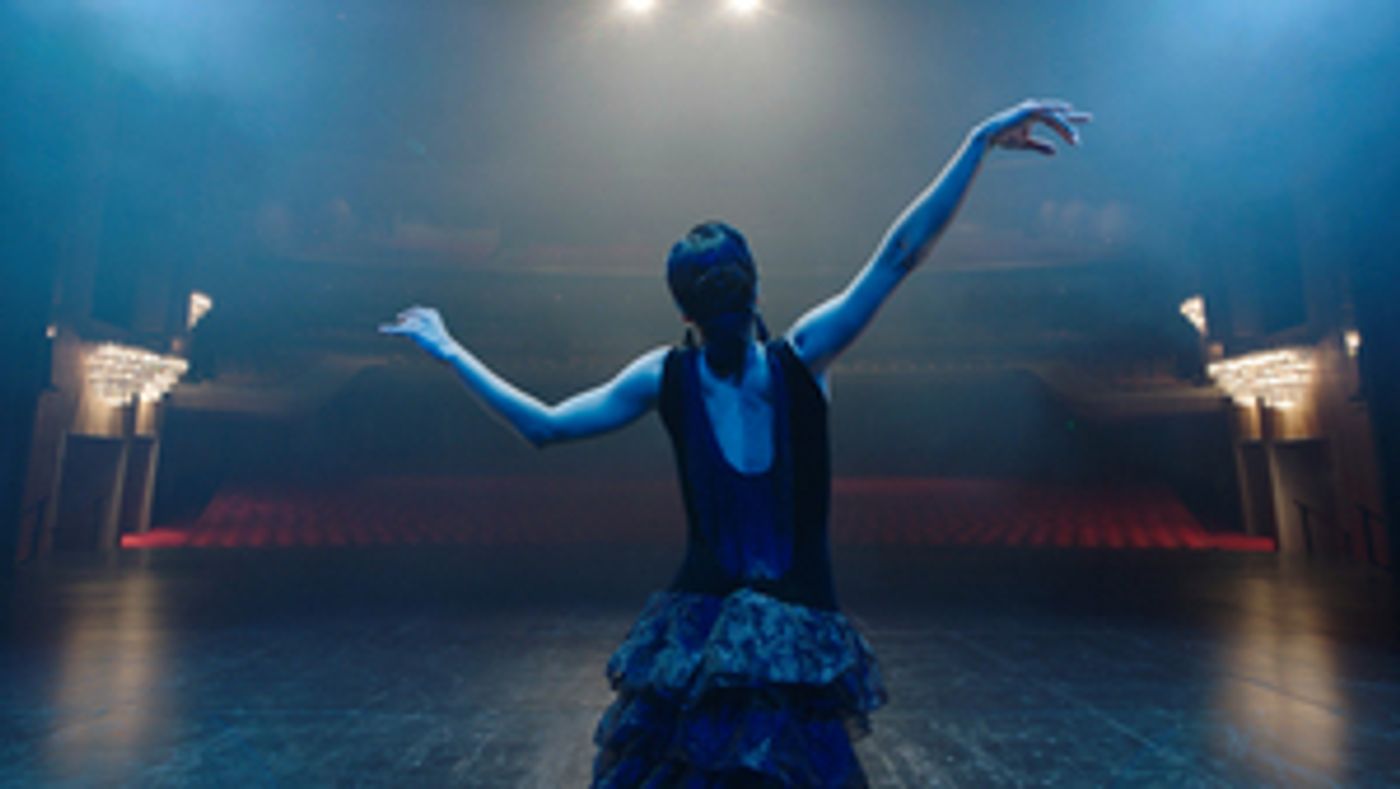 BWW Feature: ONLINE VIRTUAL OPERA TOUR at Home Computer Screens  Image