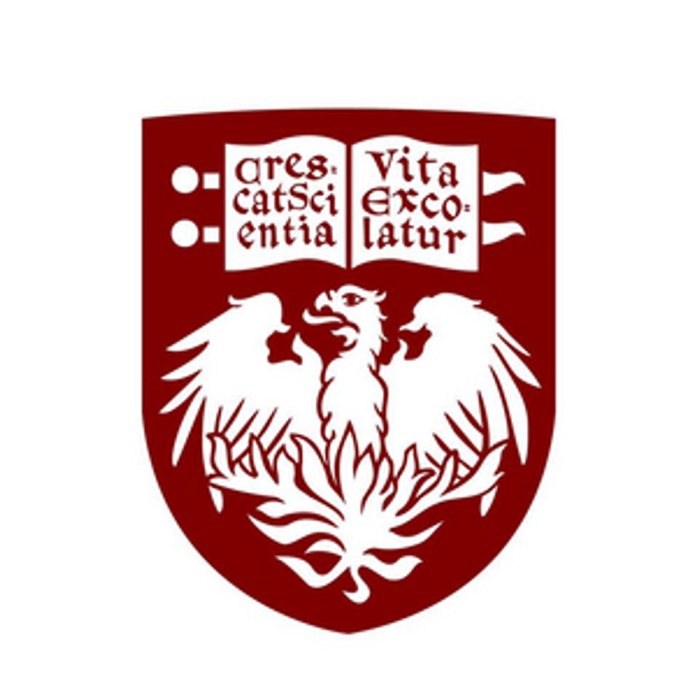 'The University Of Chicago Presents' Announces Virtual Programming For January  Image