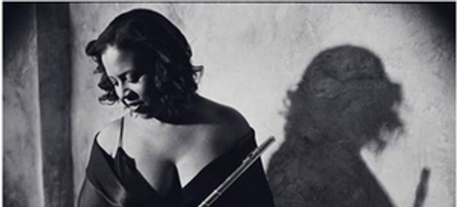 Illinois Philharmonic Orchestra Presents WIND MELODIES BY COLEMAN AND MOZART Image