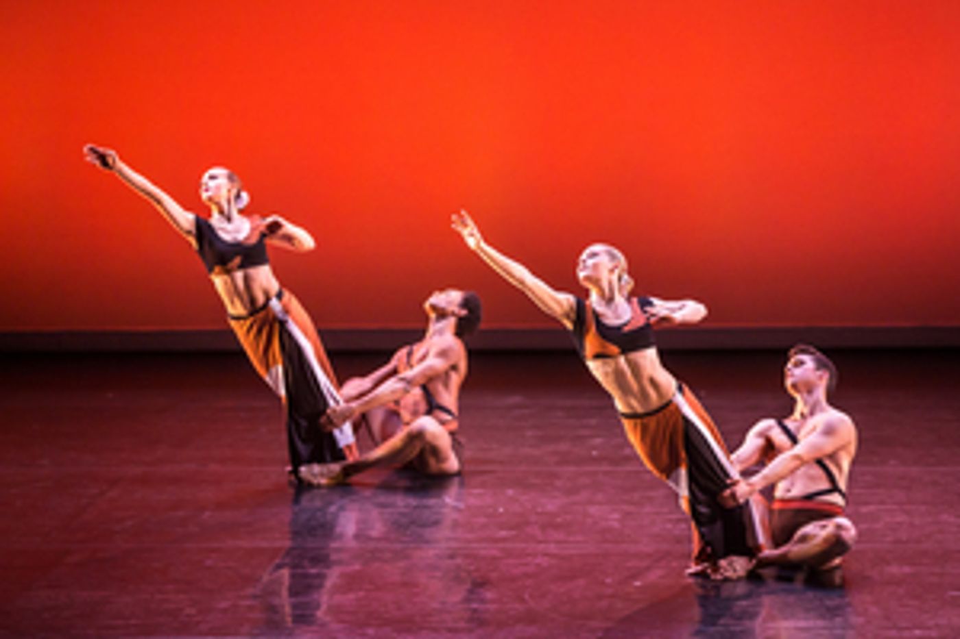 Martha Graham Dance Company Announces All-New Virtual Programming for January 2021  Image