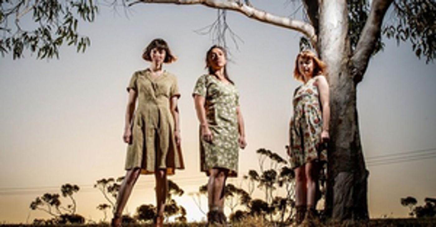 Review: THE BLEEDING TREE at Ngunyawayiti Space, Tandanya National Aboriginal Cultural Institute  Image