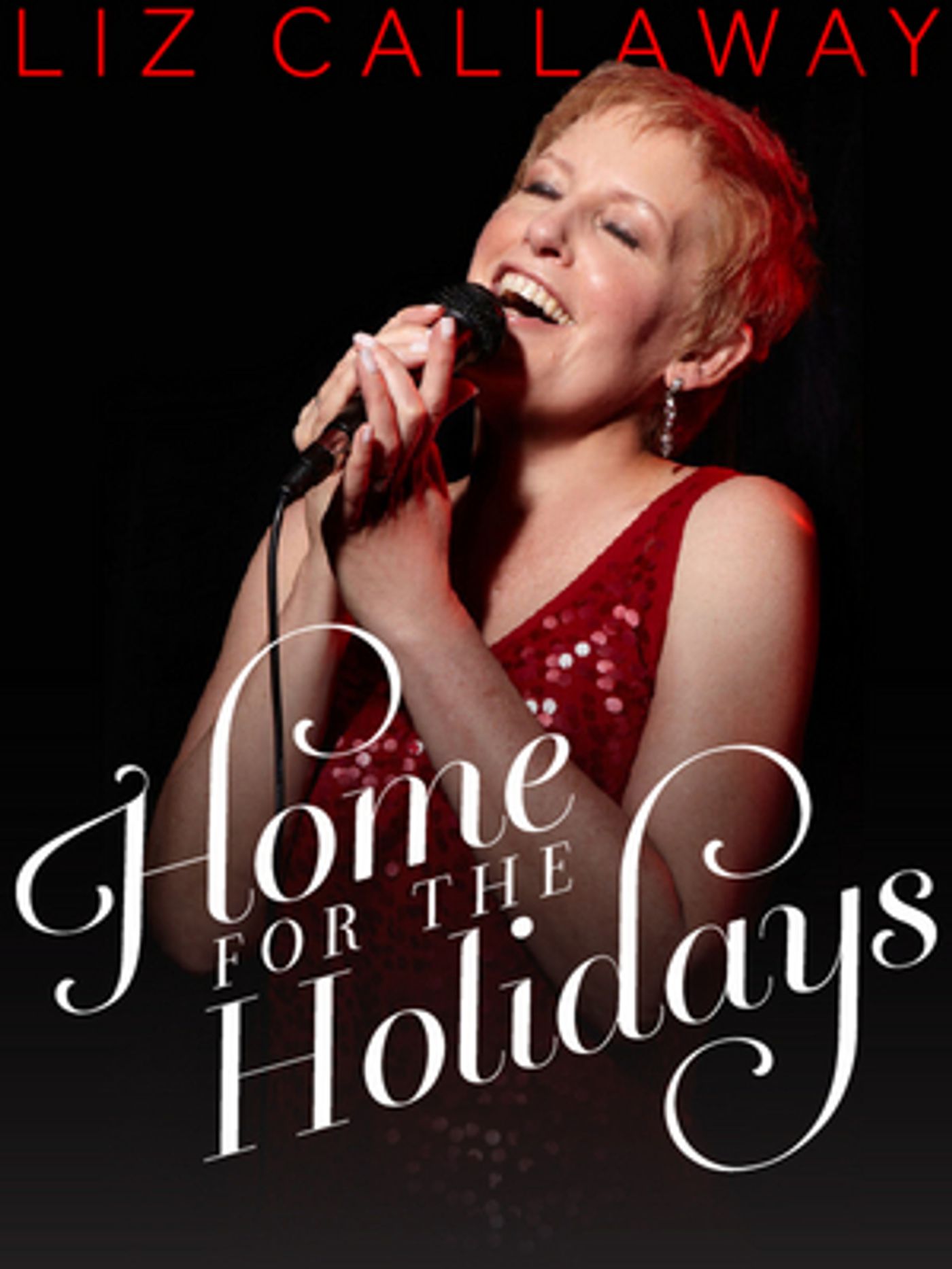Interview: Liz Callaway Talks Streaming Concert 'Home For the Holidays'  Image
