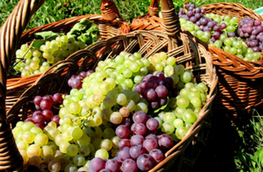 HEAR FROM THE EXPERTS About Wine Selections Image