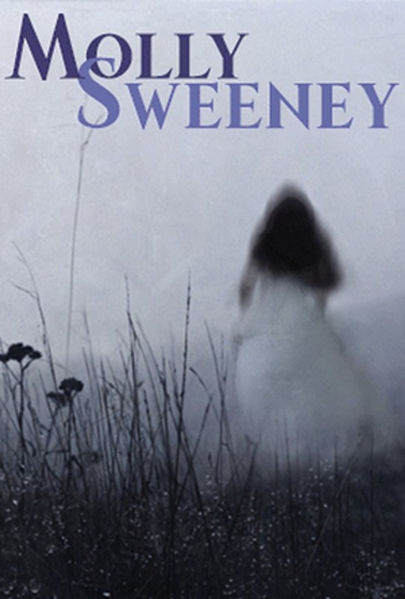 Lantern Theater Company Presents MOLLY SWEENEY  Image