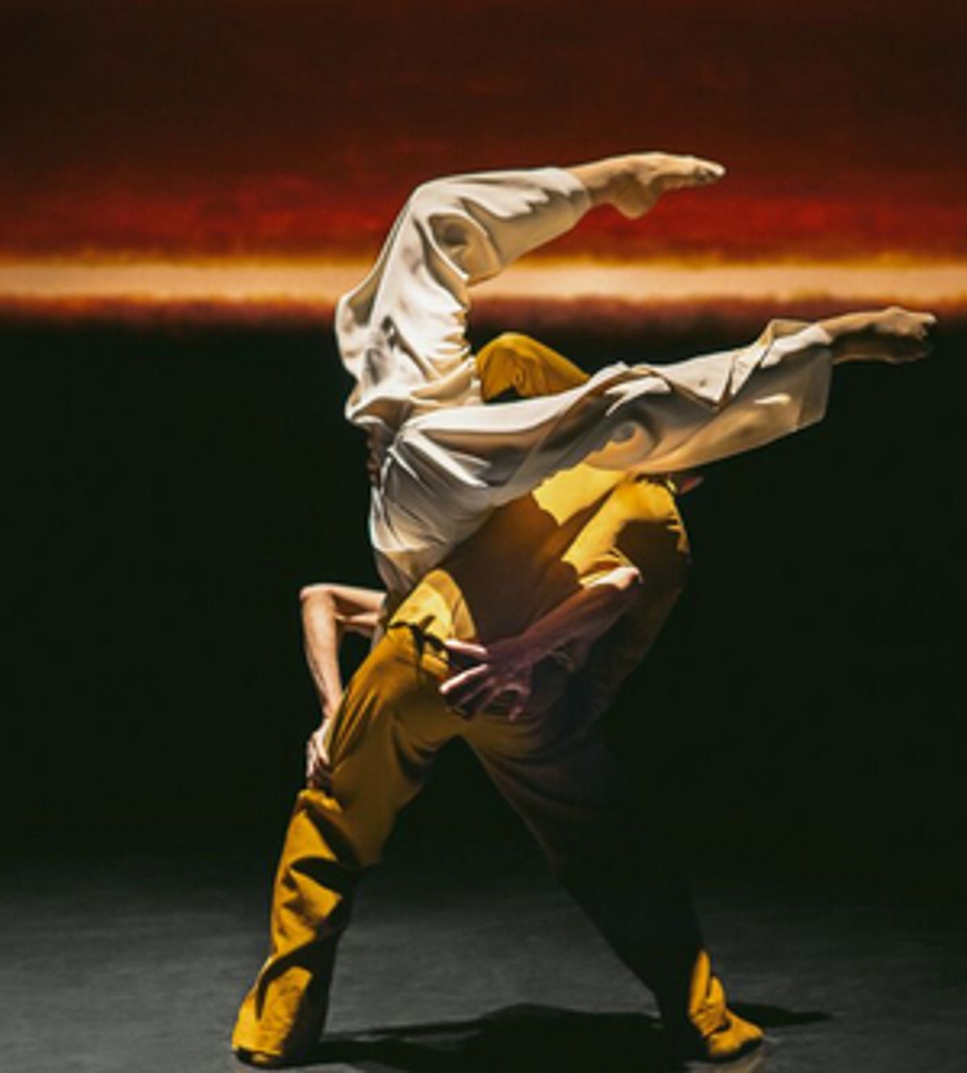 Nederlands-Dans-Theater-20010101 Nine Cultural Institutions Start 'Nalaten aan cultuur' Image