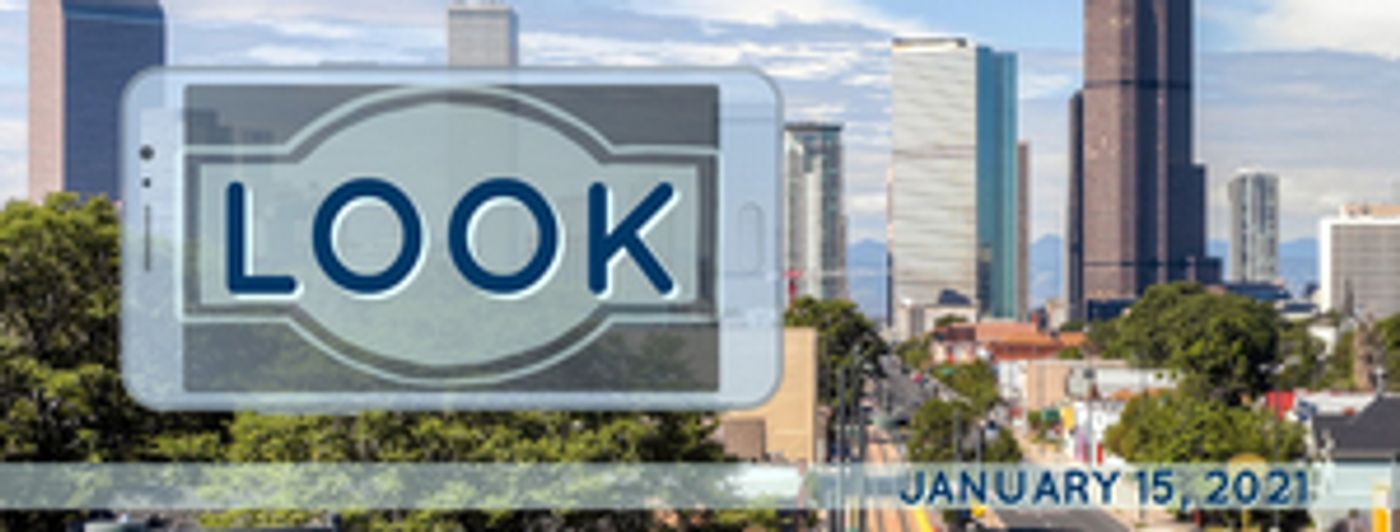 Theater 29 Presents Colorado-Made Video Plays  Image