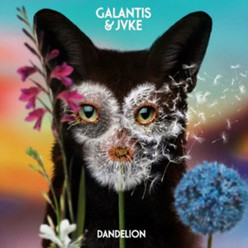 Galantis & JVKE Team Up on 'Dandelion' Image