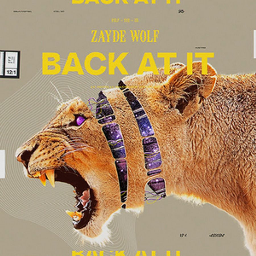 ZAYDE WØLF Releases First Single of 2021 'Back At It'  Image