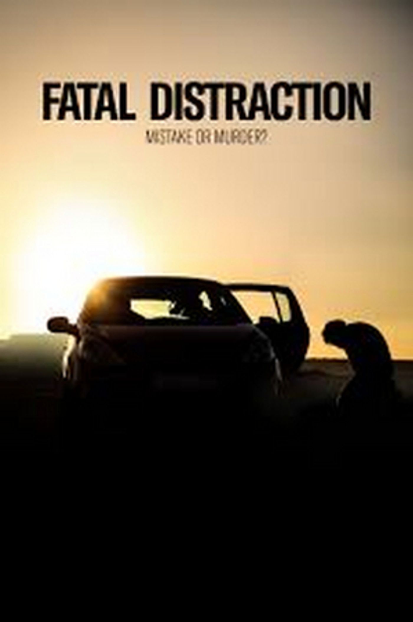 Review: Susan Morgan Cooper's Riveting Expose On Hot Car Deaths: FATAL DISTRACTION  Image