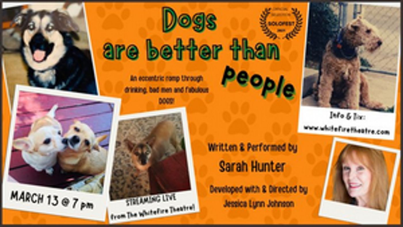 Whitefire Theatre's Solofest Streams DOGS ARE BETTER THAN PEOPLE  Image