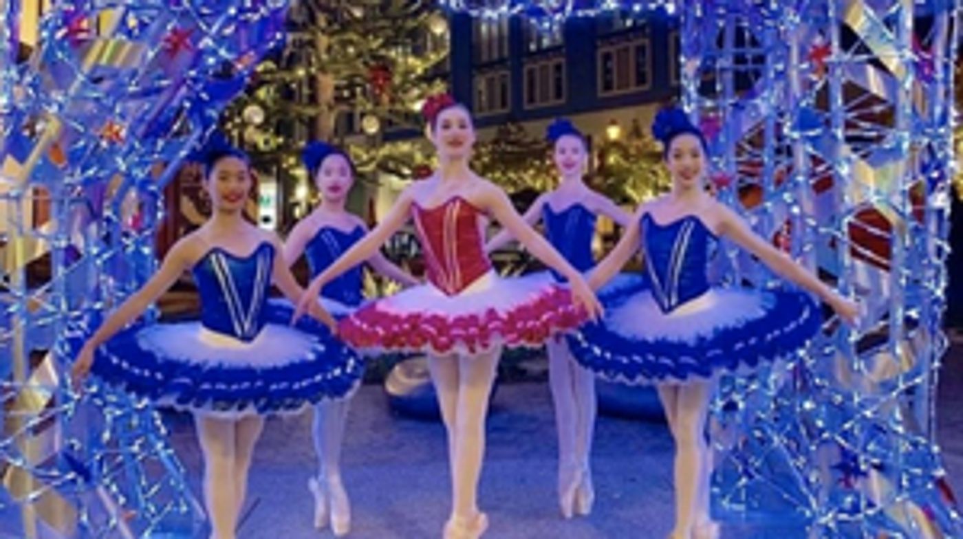 Nearly 100 Costumes Stolen From San Jose Dance Theatre  Image