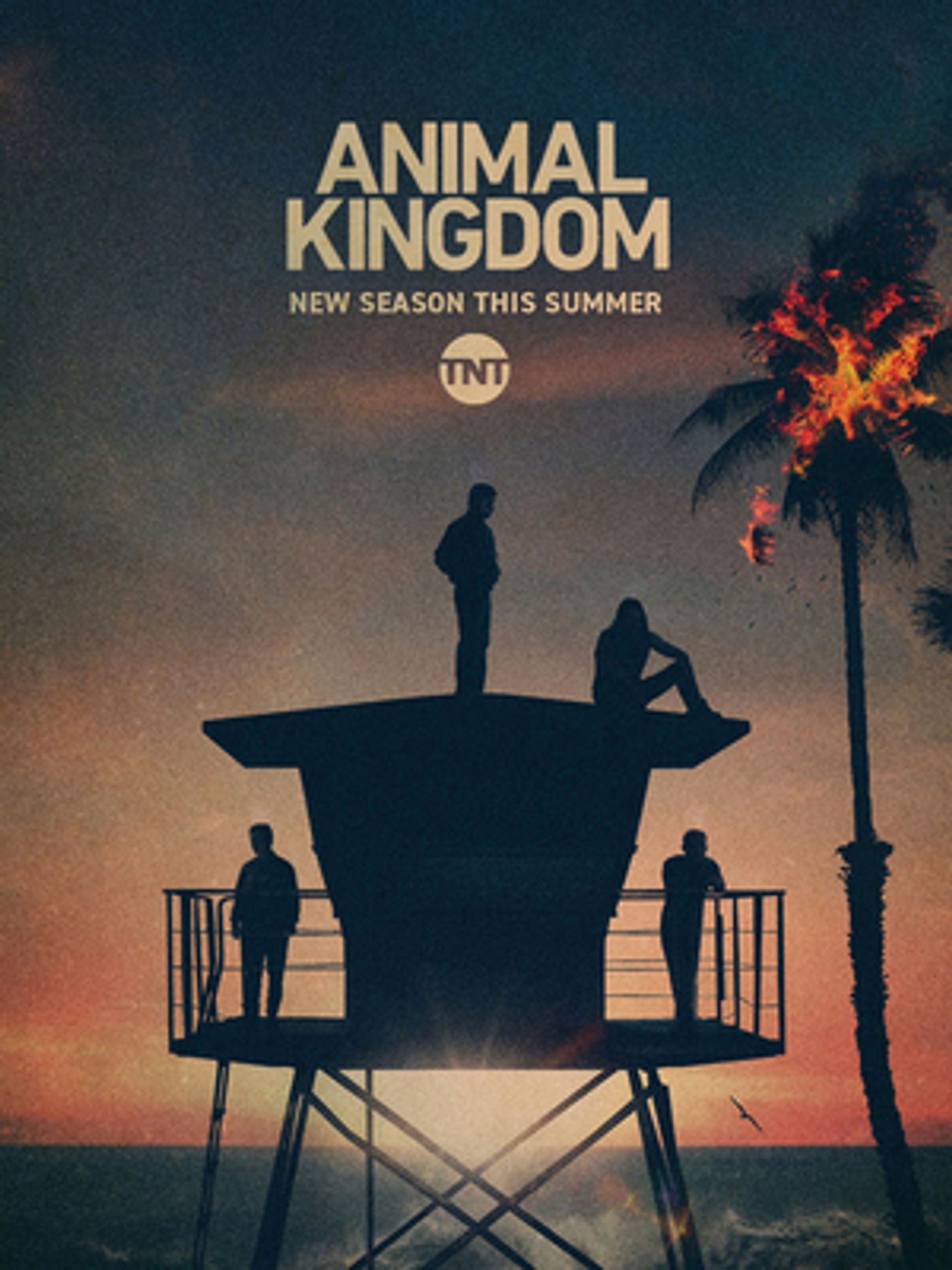 TNT Renews Hit Series ANIMAL KINGDOM for a Sixth and Final Season  Image