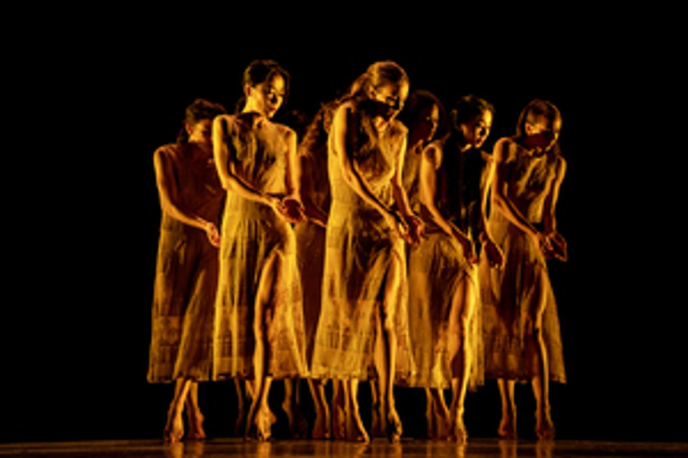 Martha Graham Dance Company Announces February Digital Events Martha Graham Dance Company Announces February Digital Events Image