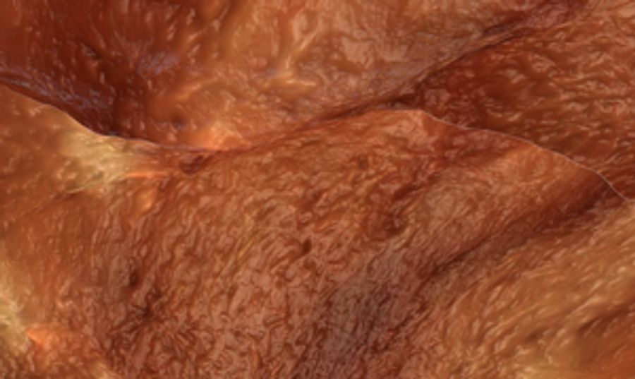 Times Square Arts Presents Sondra Perry's FLESH WALL for February Midnight Moment Image