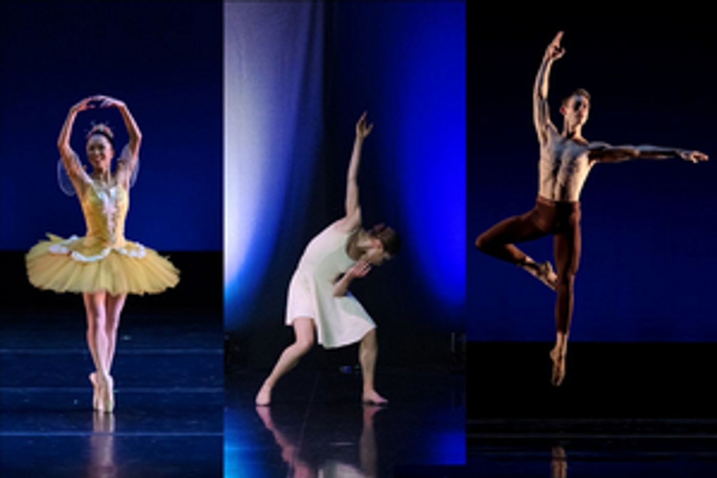 Verb Ballets Announces New Works for the Virtual Stage Verb Ballets Announces New Works for the Virtual Stage Image