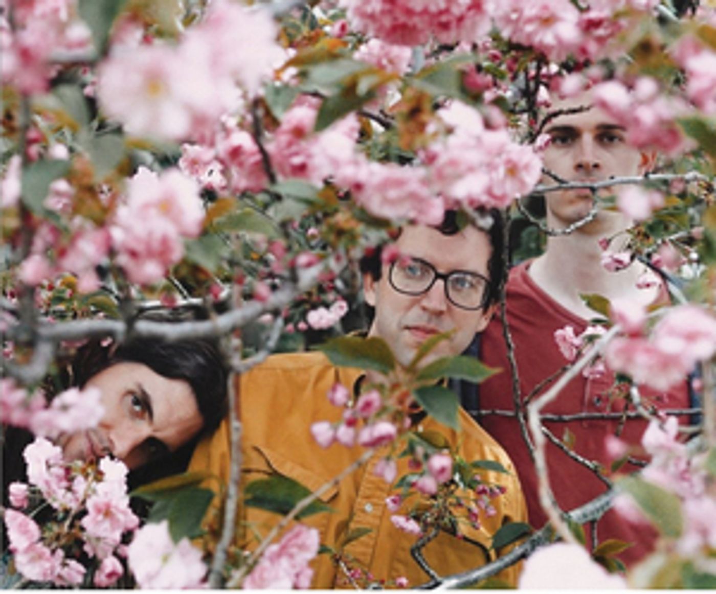 Ohtis Share New Single 'Schatze'  Image