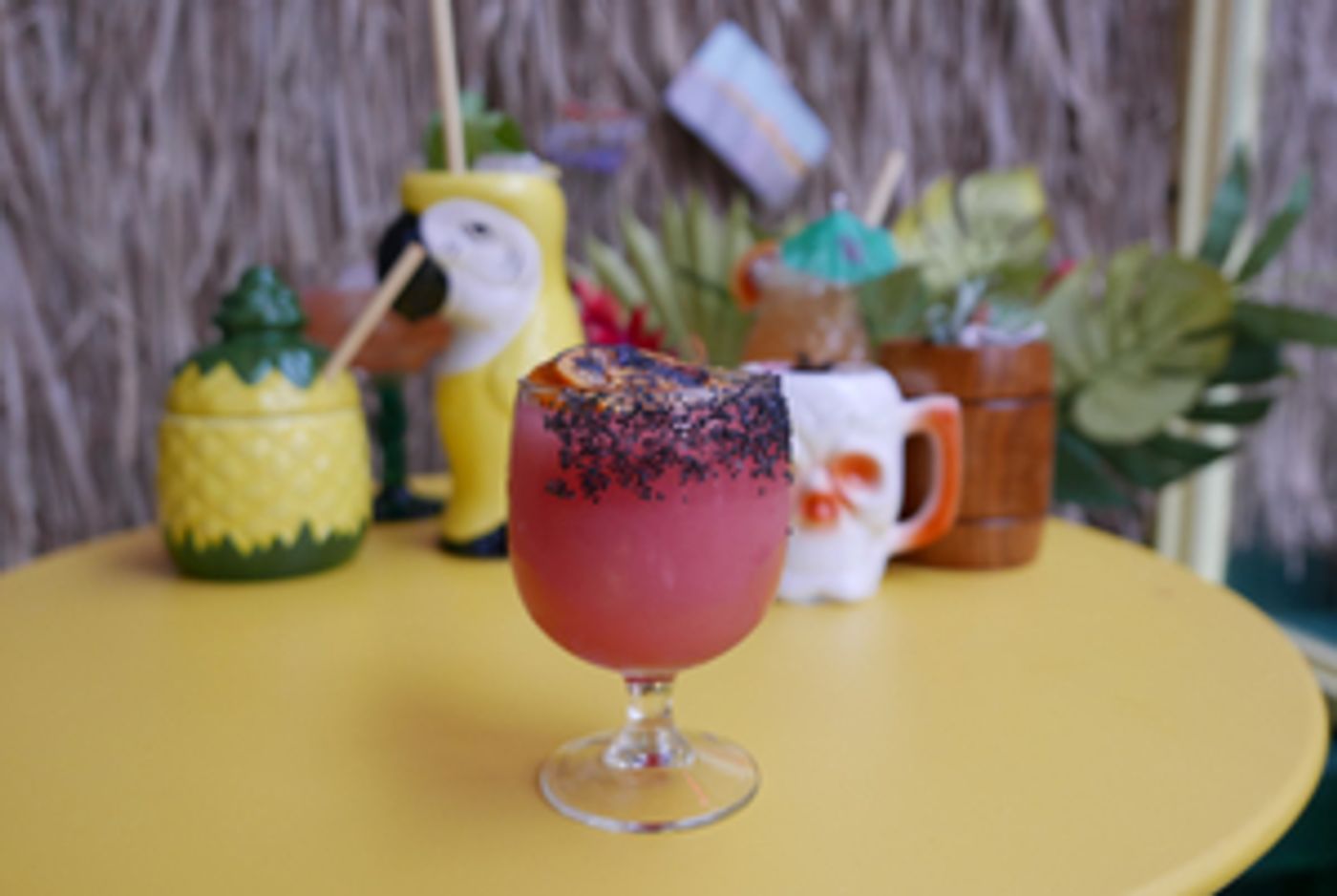 WINTER IN THE TROPICS Now Open in Nolita WINTER IN THE TROPICS Now Open in Nolita Image
