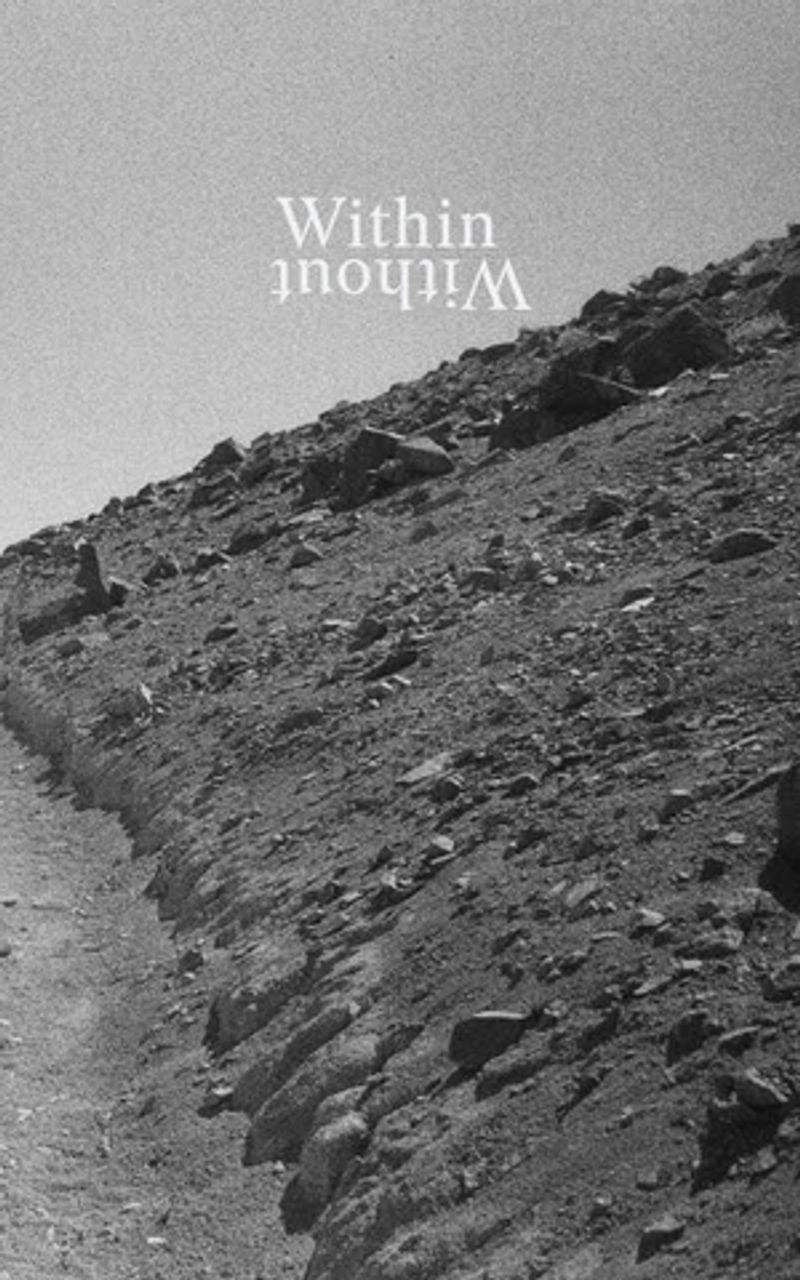 Writings By Drummer & Multi-Instrumentalist Bill Rieflin in 'Within Without' Now Available Image