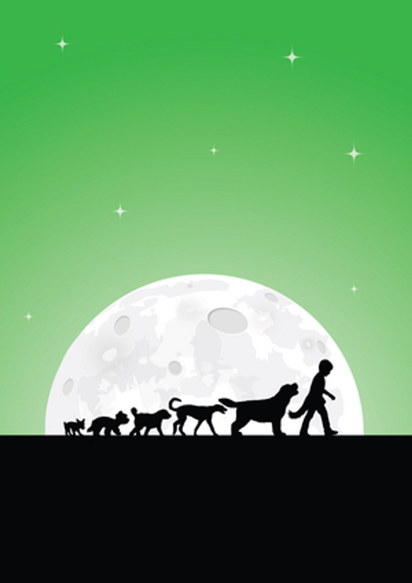 THE BOY WHO TALKED TO DOGS Comes to Adelaide Festival  Image