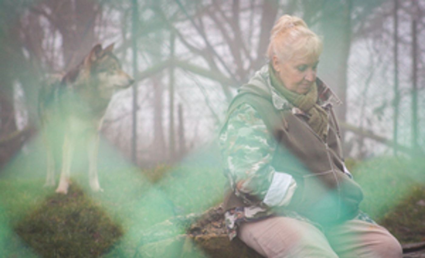 MISHA AND THE WOLVES Documentary Announces Distribution Deals MISHA AND THE WOLVES Documentary Announces Distribution Deals Image