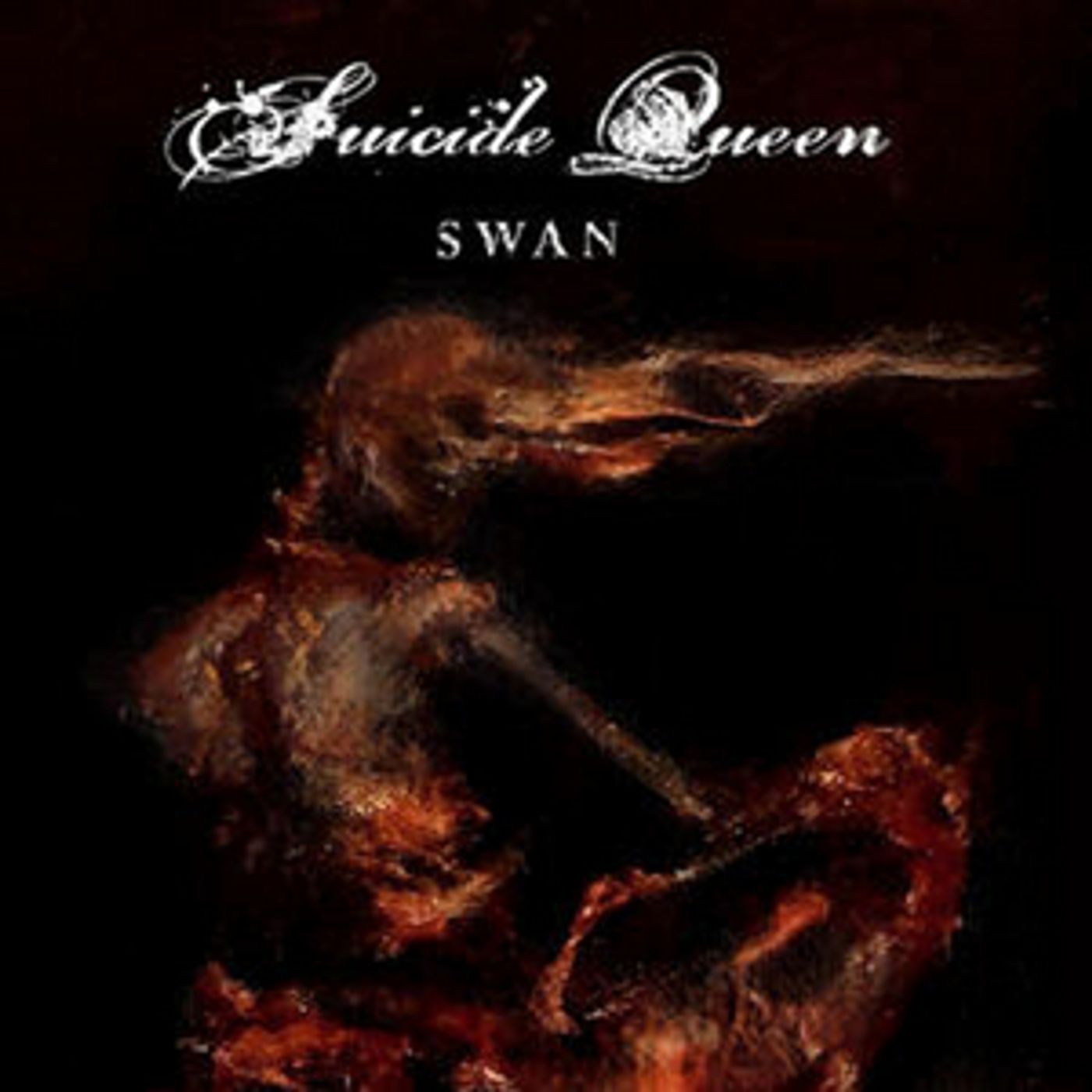 Suicide Queen Premiere New Song 'Swan' Suicide Queen Premiere New Song 'Swan' Image
