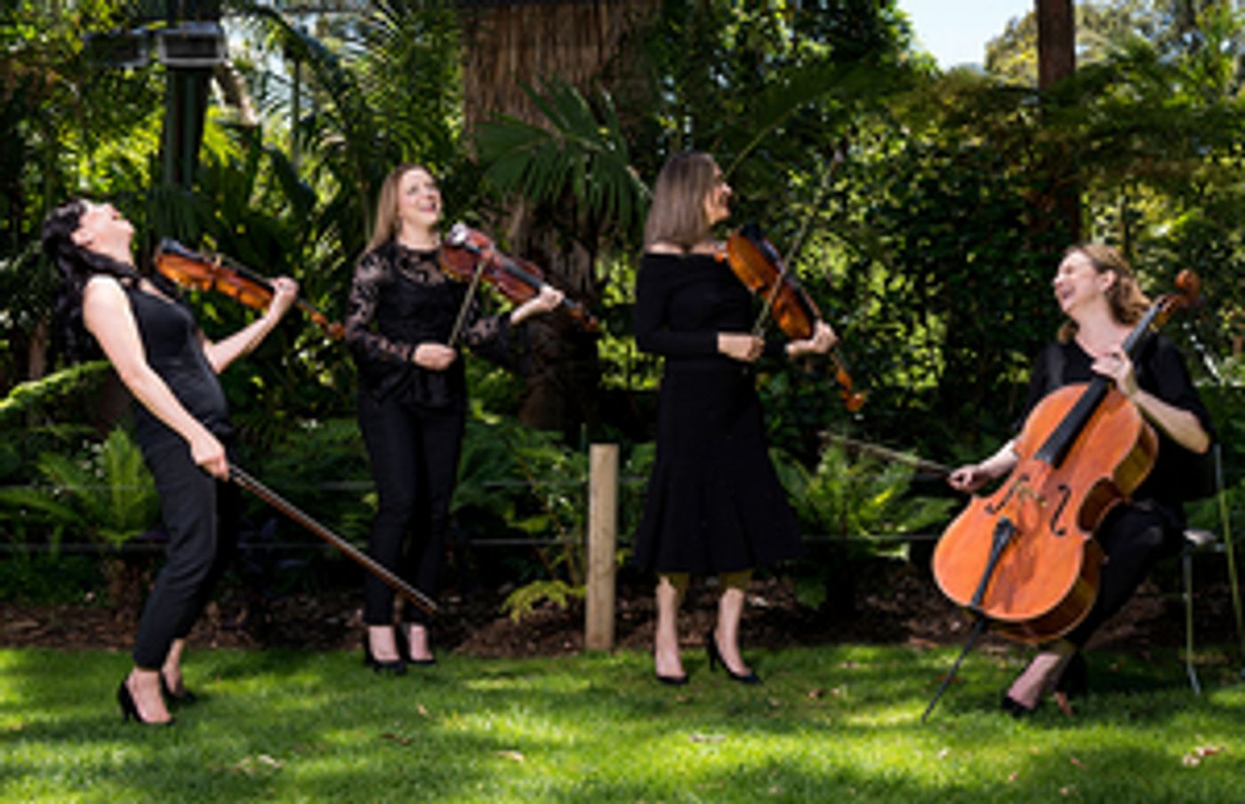 Review: CARNIVAL OF THE ANIMALS at Adelaide Zoo  Image