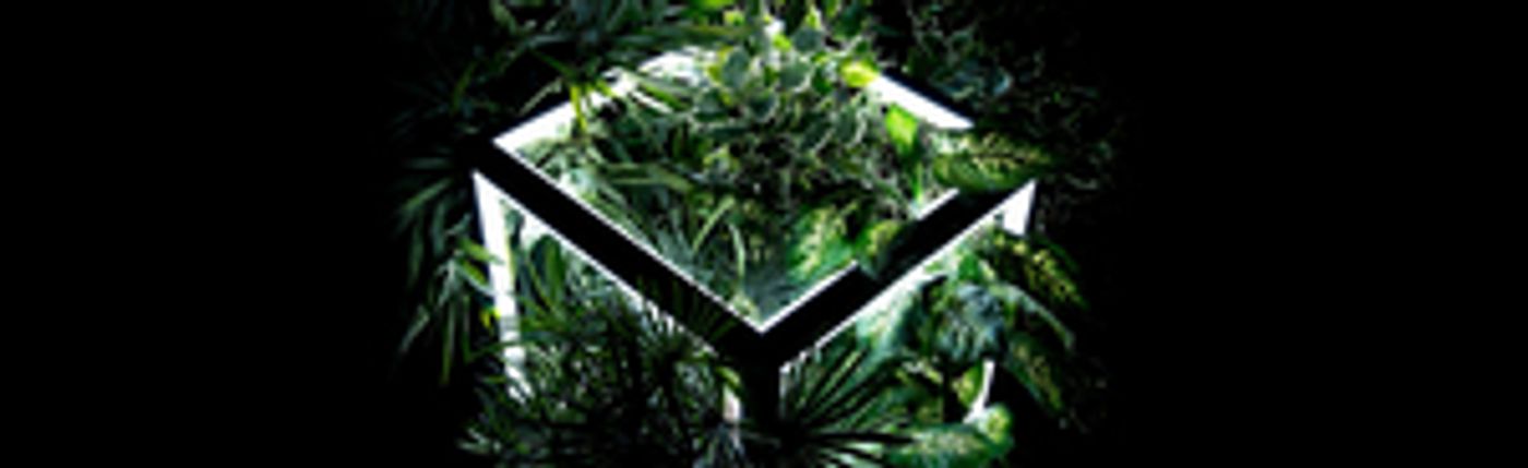 Salzburger Landestheater Presents THE MAGIC FLUTE Salzburger Landestheater Presents THE MAGIC FLUTE Image