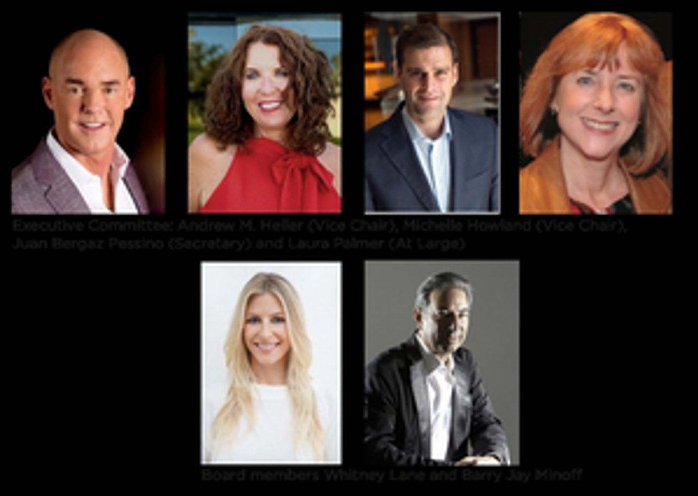 NSU Art Museum Fort Lauderdale Board of Governors Elects New Officers and Members  Image