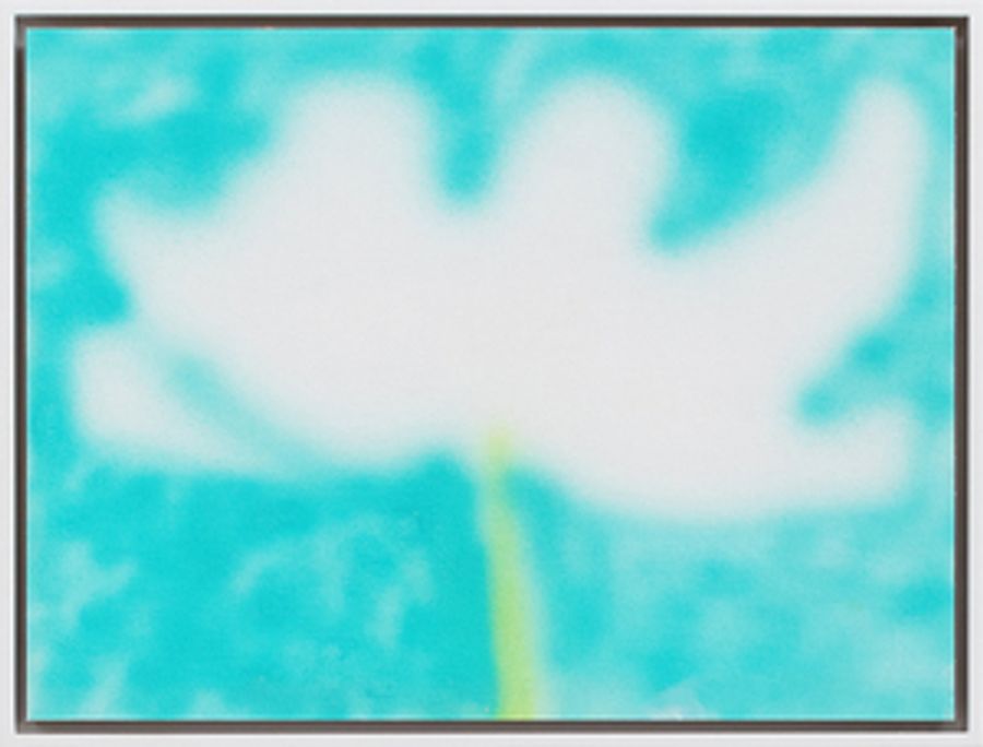 Reyes | Finn Presents THE LANGUAGE OF FLOWERS Image