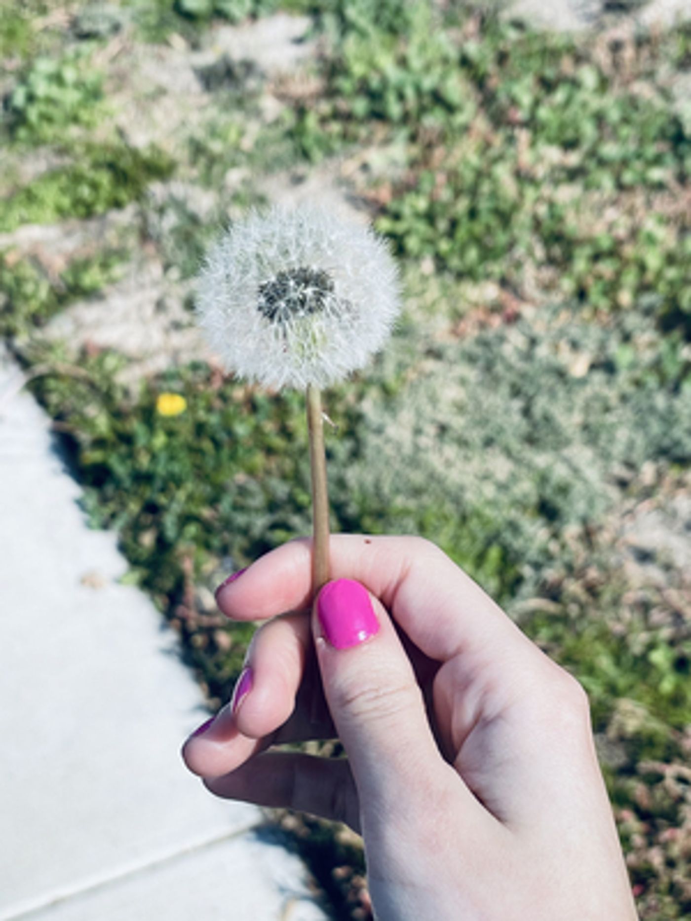 BWW Blog: Staying Motivated While the Pandemic Continues  Image