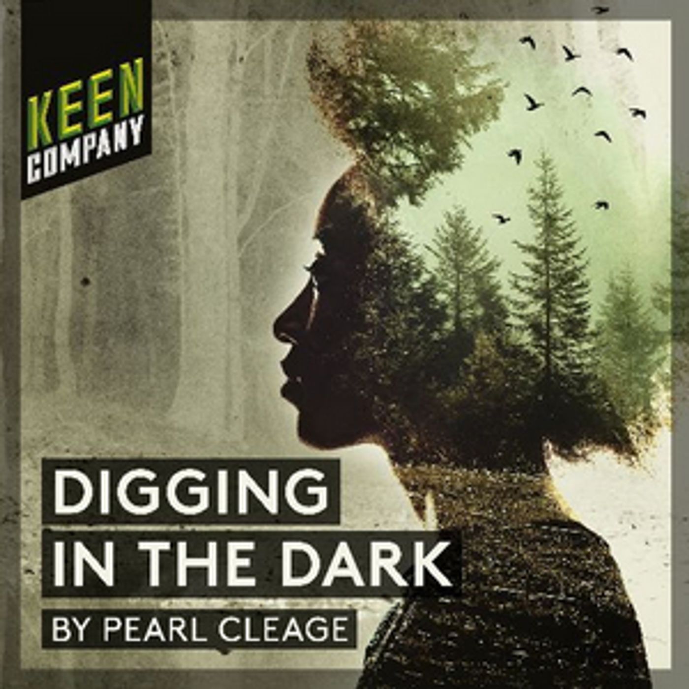 Keen Company Continues 21st Season With DIGGING IN THE DARK  Image