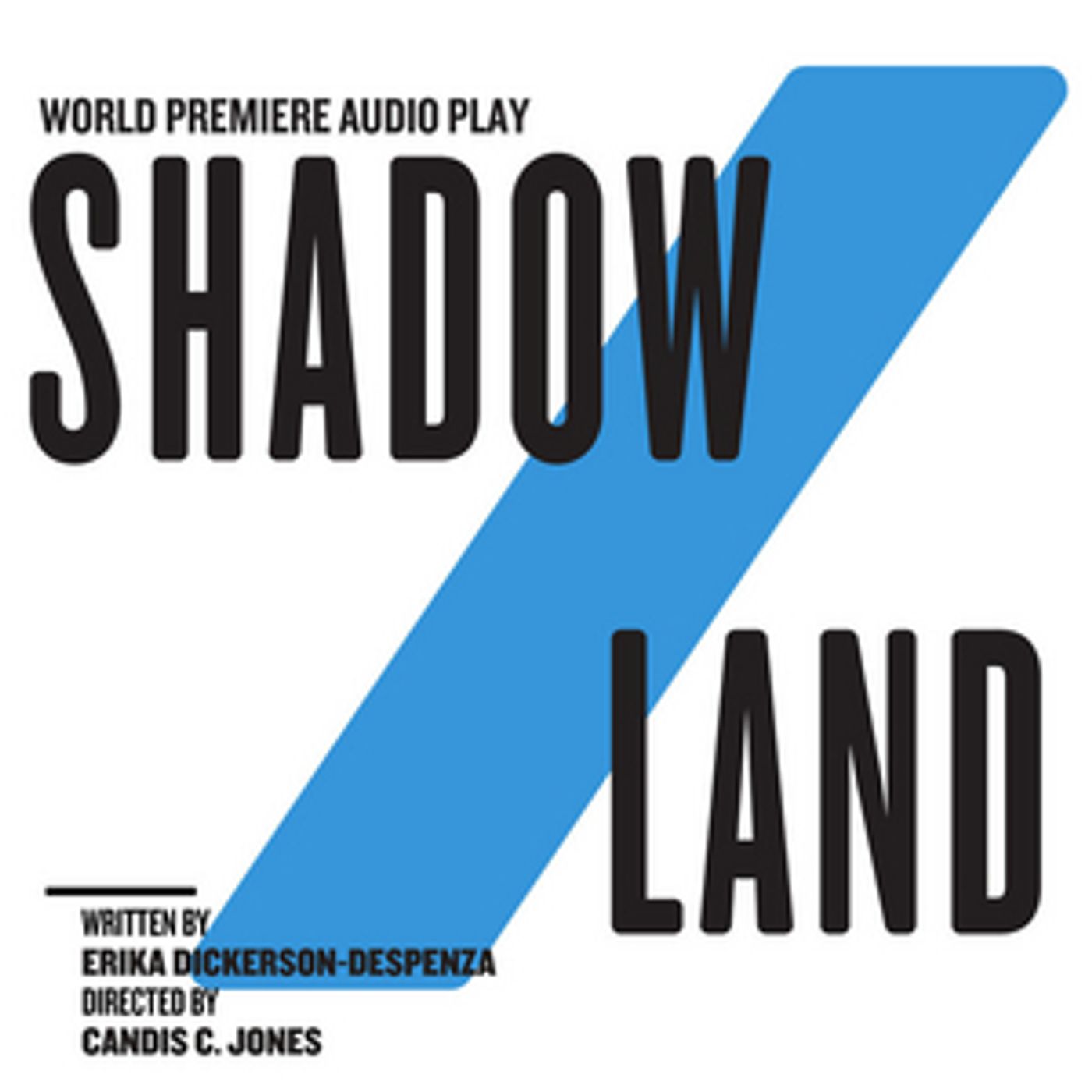 The Public Theater Announces World Premiere Audio Play SHADOW/LAND  Image