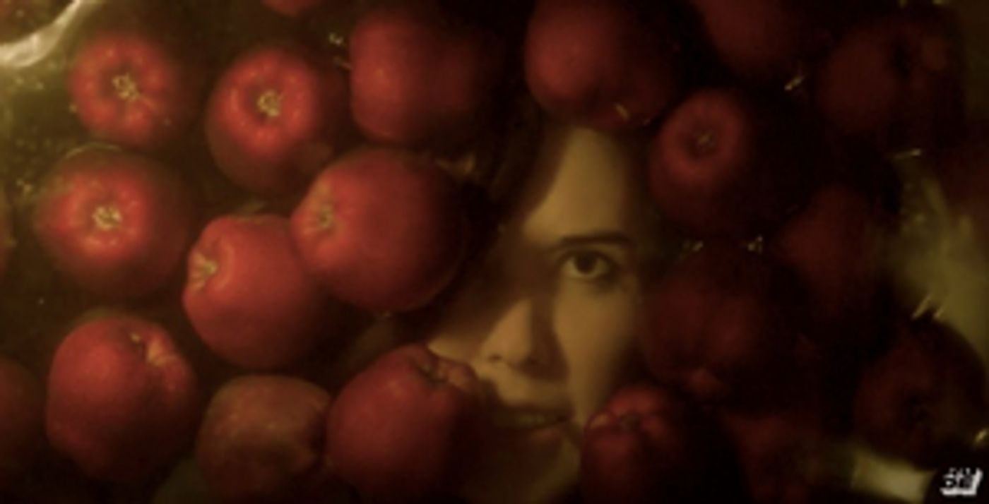 Sydney Sprague Reveals Video for 'quitter'  Image