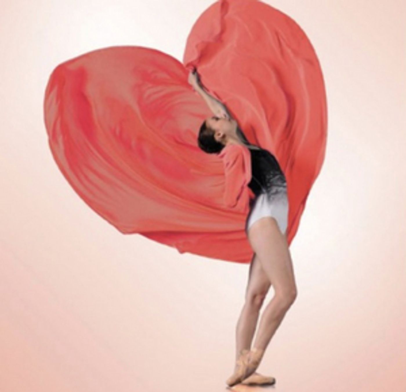 Ballet Tucson Launches Virtual Online Auction Fundraiser  Image