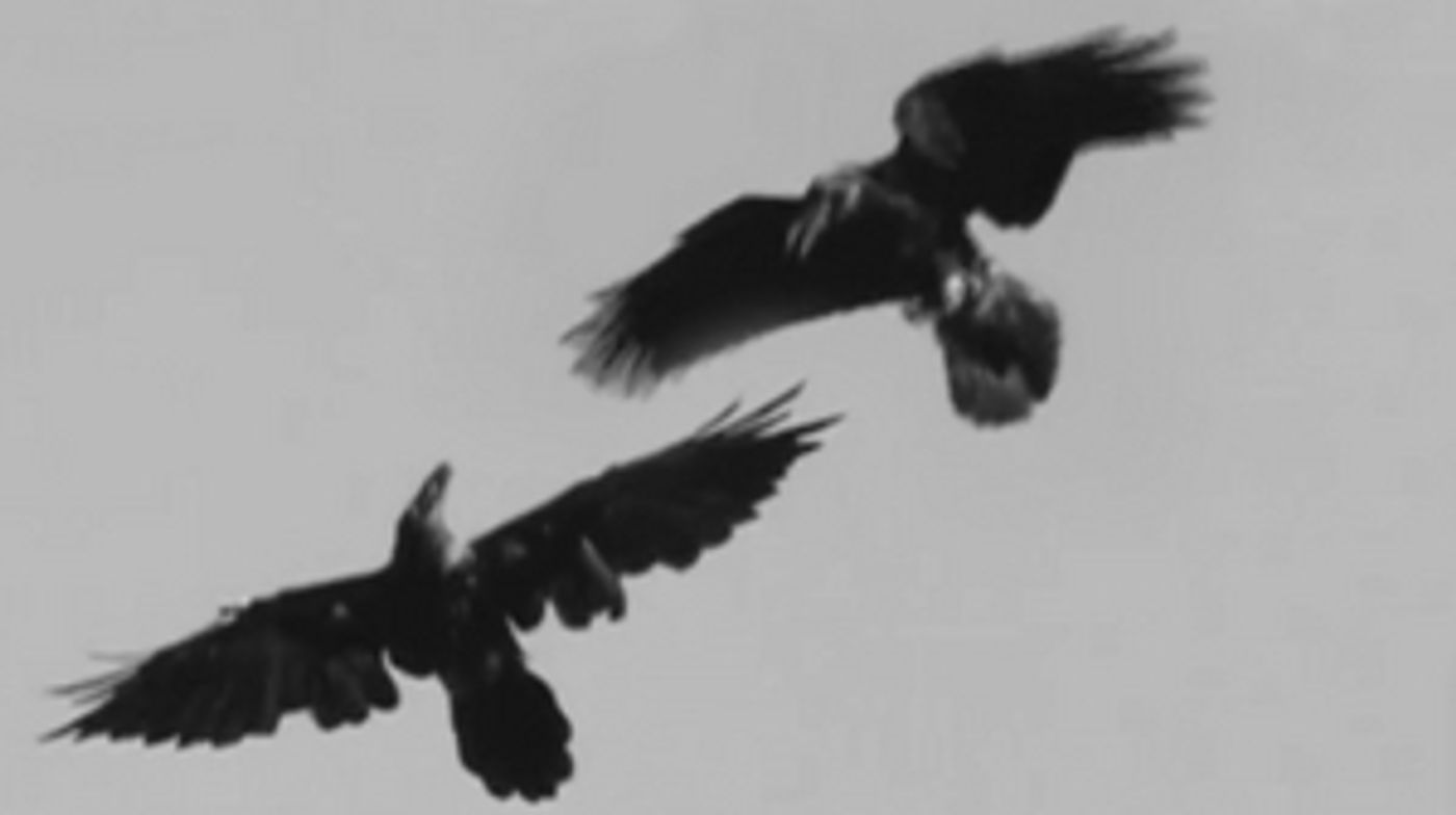 Feature: ONLINE VIRTUAL OPERA TOUR NO. 46 at Home Computer Screens Feature: ONLINE VIRTUAL OPERA TOUR NO. 46 at Home Computer Screens Image