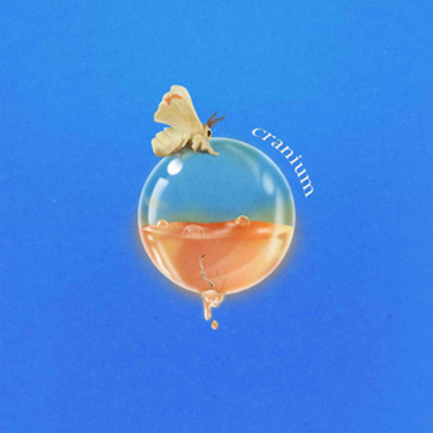 Slothrust Share New Single & Video for 'Cranium'  Image