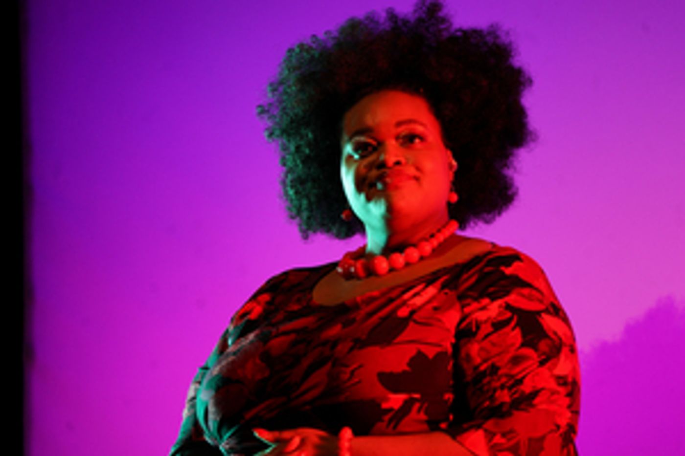 Feature: ONLINE VIRTUAL OPERA TOUR No. 47 at Home Computer Screens  Image