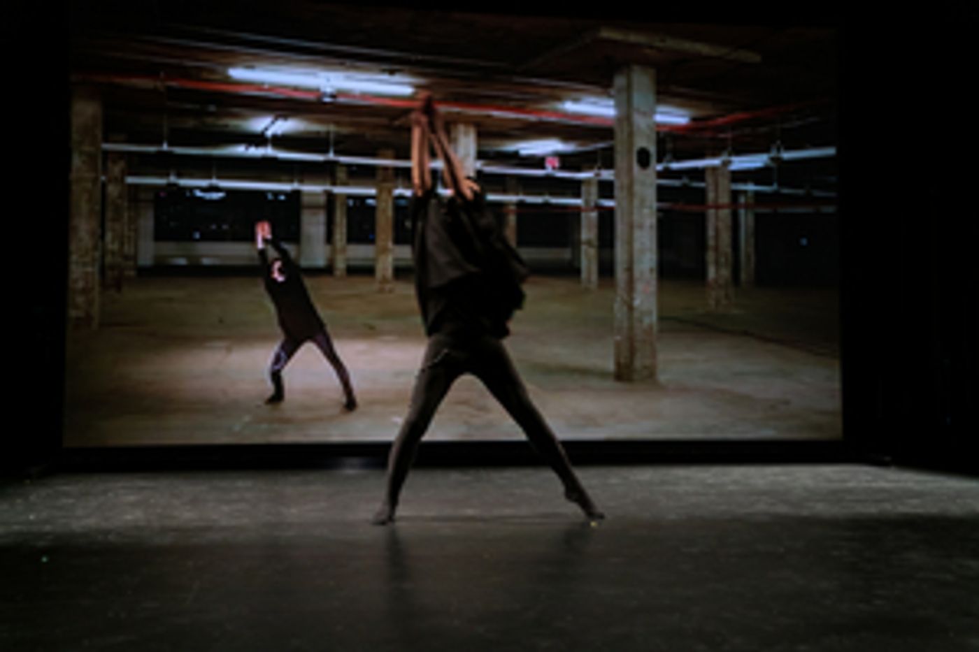 Dance Theatre Of Harlem Presents FIREBIRD Dance Theatre Of Harlem Presents FIREBIRD Image