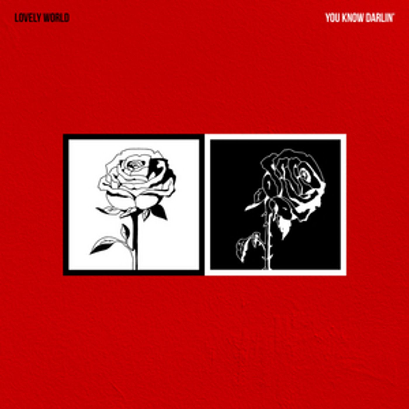LOVELY WORLD To Release New Single 'You Know Darlin''  Image