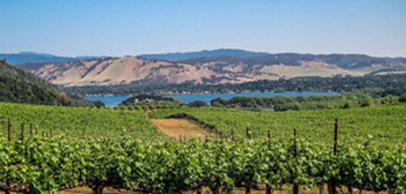 Wine Aficionados Stephen D. Kreps and Robert L. Pepi Chat with Broadwayworld  Image